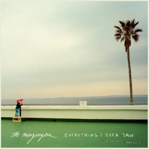 MENZINGERS / メンジンガーズ / EVERYTHING I EVER SAW (LP)