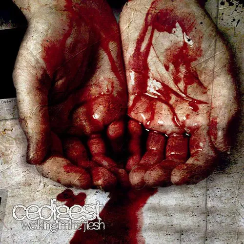 cedigest / セディゲスト / WALKING IN THE FLESH