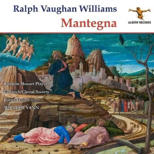 WILLIAM VANN / ウィリアム・ヴァン / V.WILLIAMS:MANTEGNA