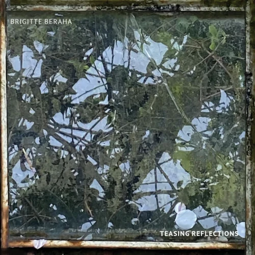 BRIGITTE BERAHA / TEASING REFLECTIONS