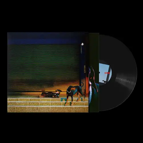 OVERMONO / オーヴァーモノ / PURE DEVOTION (BLACK LP VINYL)