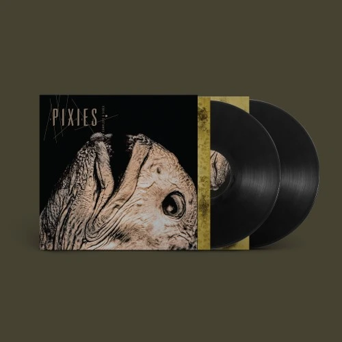 COMPLETE B SIDES: 1988-97 (2LP) / PIXIES / ピクシーズ / 結成40周年