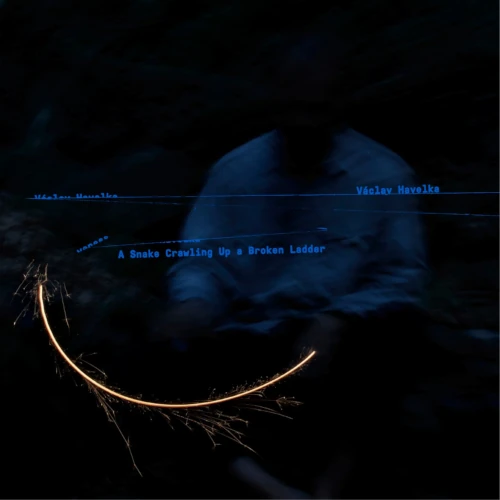 VACLAV HAVELKA / ヴァーツラフ・ハヴェルカ / SNAKE CRAWLING UP A BROKEN LADDER (LP)