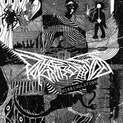 .GIF FROM GOD / DISSIMULATION (LP)