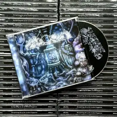FAKE DUST / DECREPITIZING DIN OF THE CEREBRAL PSYOPTICON