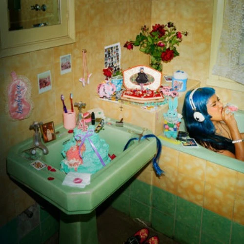 ECCA VANDAL / LOOKING FOR PEOPLE TO UNFOLLOW (LP)