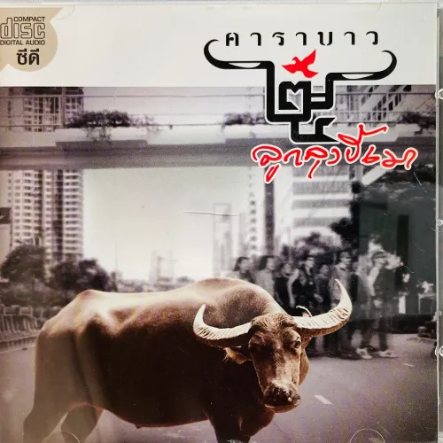 CARABAO / LUK LUNG KEE MAO