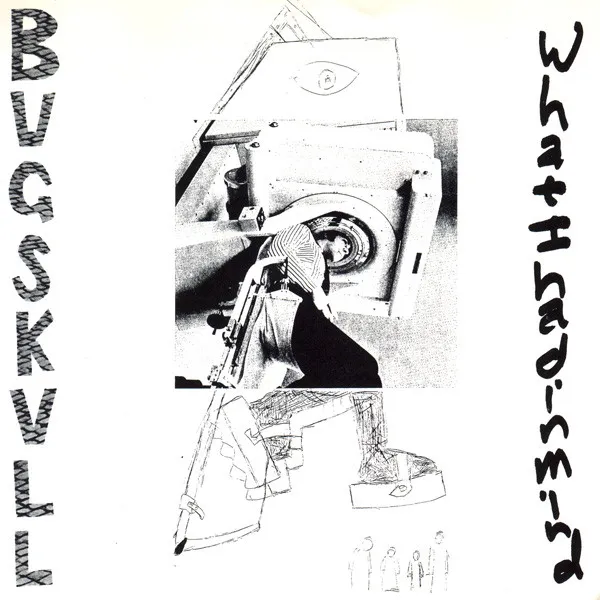 BUGSKULL / バグスカル / WHAT I HAD IN MIND