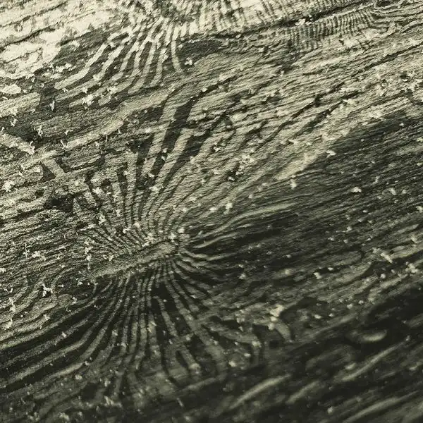 RAPHAEL ROGINSKI / TALAN [LP]