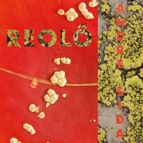 REOLO / ANDRE SIDA (TOADSTOOL COLORED VINYL)