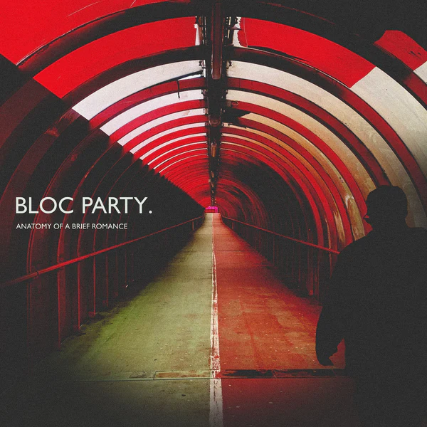 BLOC PARTY / ブロック・パーティー / ANATOMY OF A BRIEF ROMANCE (LP)