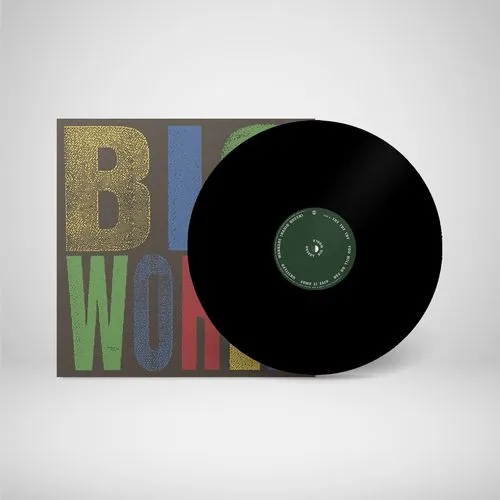 HOVVDY / ハウディ / BIG WORLD (BLACK VINYL)
