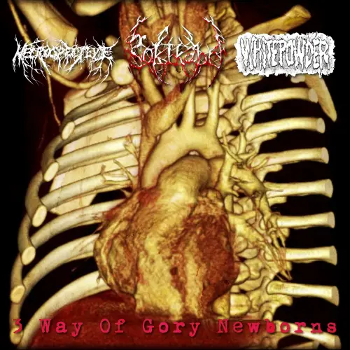 NECROSPECTIVE / GOKIKABURI / WHITEPOWDER / 3 WAY OF GORY NEWBORNS