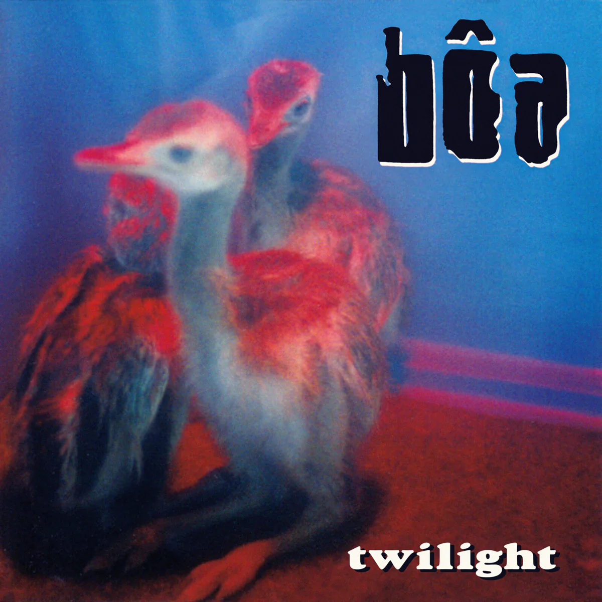 boa (UK ALTERNATIVE ROCK) / ボア (UK ALTERNATIVE ROCK) / TWILIGHT (2LP)
