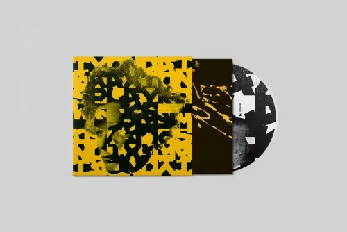 TYONDAI BRAXTON / タイヨンダイ・ブラクストン / SPLAYED WERKS (CD)