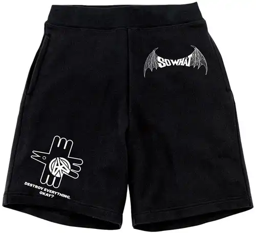 SO WHAT (JPN/PUNK) / XL/destroy everything Trucker shorts