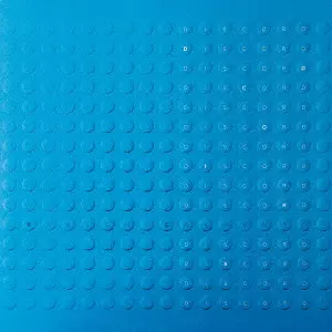 RYUICHI SAKAMOTO / 坂本龍一 / DISCORD