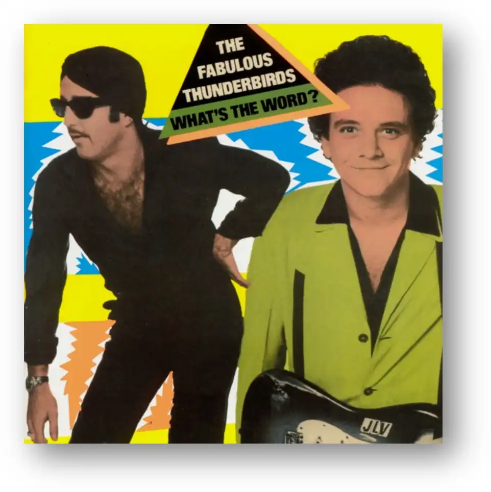 FABULOUS THUNDERBIRDS / ファビュラス・サンダーバーズ / WHAT'S THE WORD? (CD)