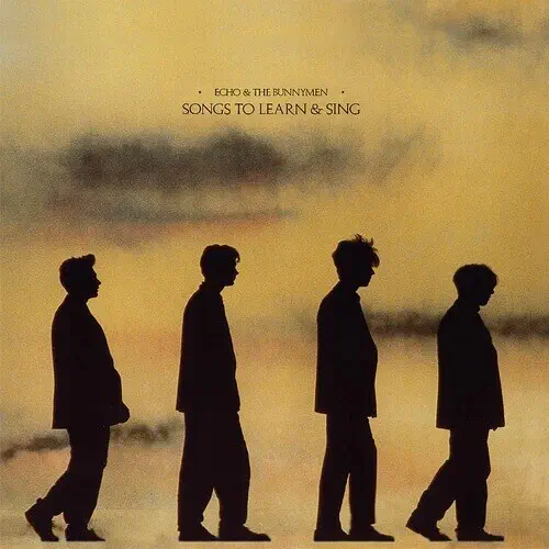 ECHO & THE BUNNYMEN / エコー&ザ・バニーメン / SONGS TO LEARN & SING - LTD YELLOW & BLACK MARBLE VINYL (LP)