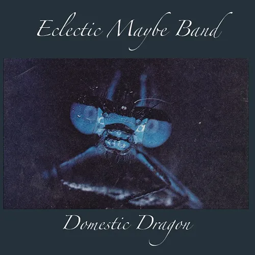 ECLECTIC MAYBE BAND / DOMESTIC DRAGON