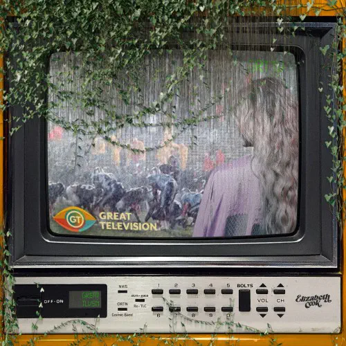 ELIZABETH COOK / エリザベス・クック / GREAT TELEVISION (CD)