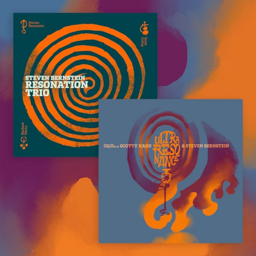STEVEN BERNSTEIN / スティーヴン・バーンスタイン / RESONATION TRIO / ULTRA RESONANCE (LP)