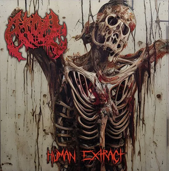 ATOLL / アトール / HUMAN EXTRACT