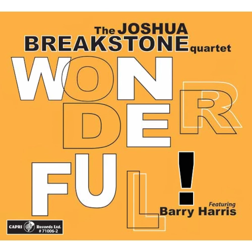 JOSHUA BREAKSTONE / ジョシュア・ブレイクストーン / WONDERFUL!