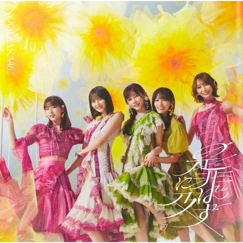 NOGIZAKA 46 / 乃木坂46 / 是非に及ばず（Type-D）