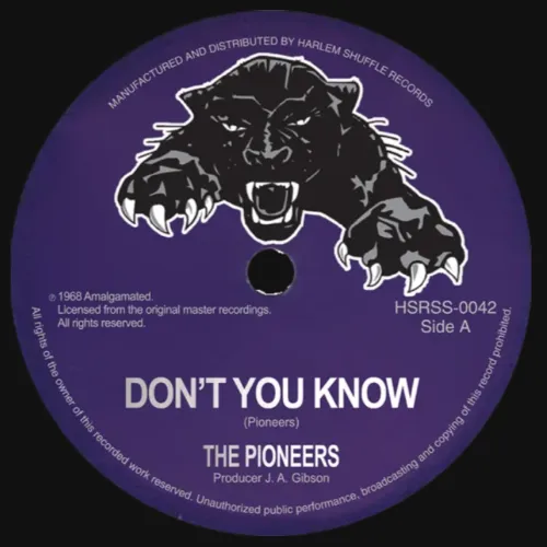 PIONEERS / ザ・パイオニアーズ / DON'T YOU KNOW
