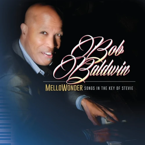 BOB BALDWIN / ボブ・ボールドウィン / MELLOWONDER- SONGS IN THE KEY OF STEVIE