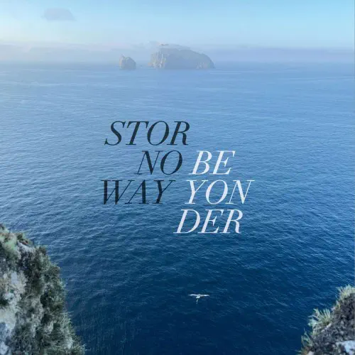 STORNOWAY / ストーノウェイ / BEYONDER (CD)