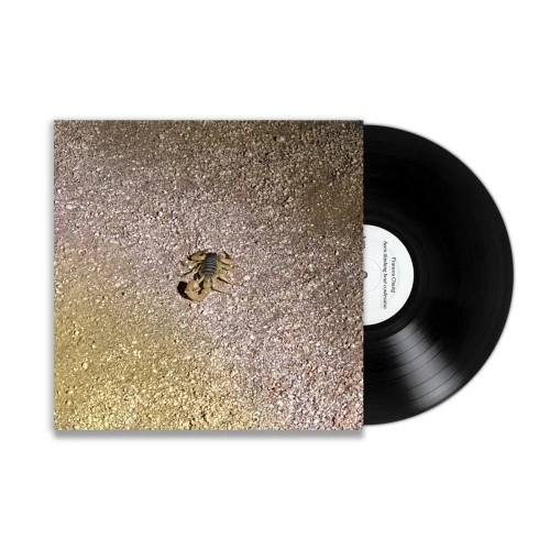 FRANCES CHANG / フランシス・チャン / BEEN THINKING BOUT CONFESSION (LP)