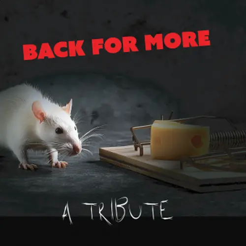 V.A. / オムニバス / BACK FOR MORE (RATT TRIBUTE ALBUM)