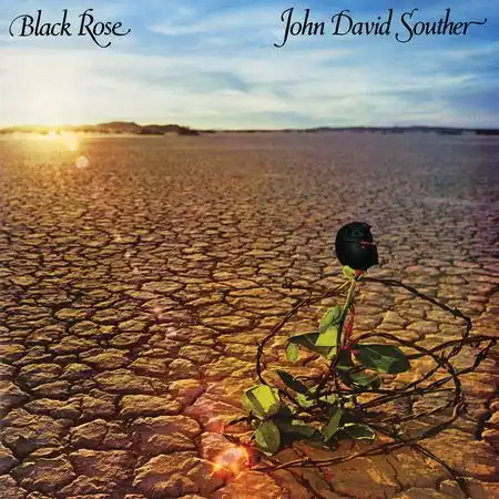 J.D. SOUTHER / J.D. サウザー / BLACK ROSE (ACOUSTIC SOUNDS 40 SERIES) (45RPM 180G 2LP)