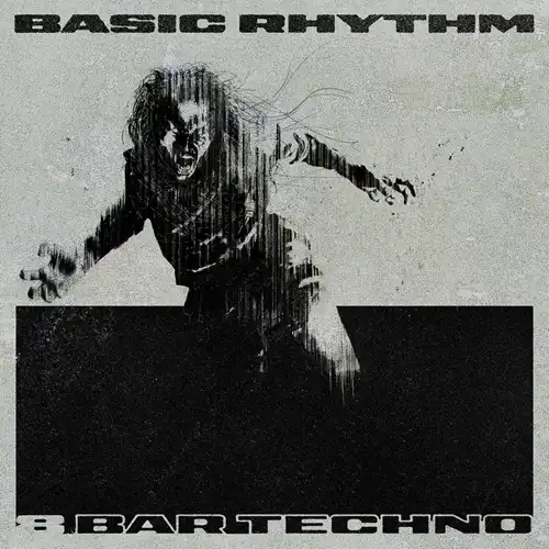 BASIC RHYTHM / ベーシック・リズム / 8 BAR TECHNO (2LP)