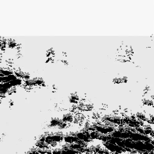 BOT1500 / BLACK SEA (LP)