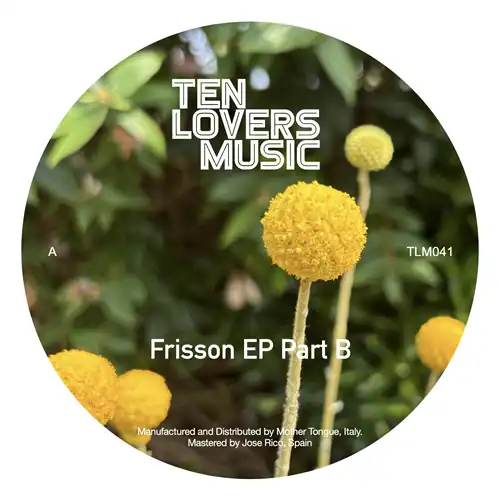 V.A. (TEN LOVERS MUSIC) / FRISSON EP PART B