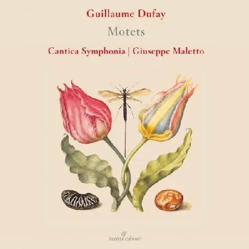 CANTICA SYMPHONIA / DUFAY:MOTETS