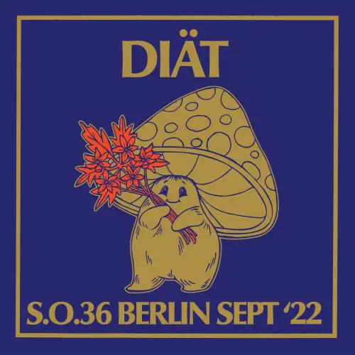 DIAT / S.O.36 BERLIN SEPT '22 (LP)