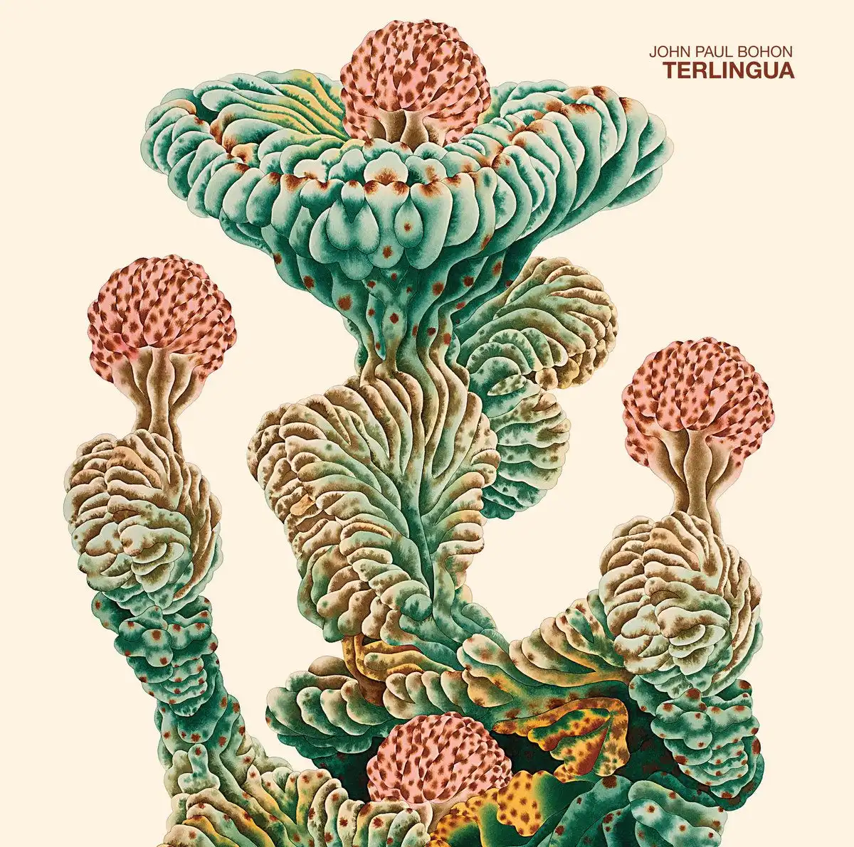 JOHN PAUL BOHON / TERLINGUA [LP]