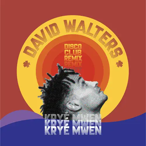 DAVID WALTERS / デヴィッド・ウォルターズ / KRYE MWET - DISCO CLUB REMIX