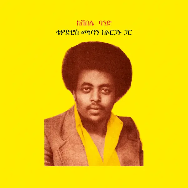 TEODROS MAKONNEN / テオドロス・マコンネン / TEODROS MAKONNEN WITH HIS ORGAN (2LP)