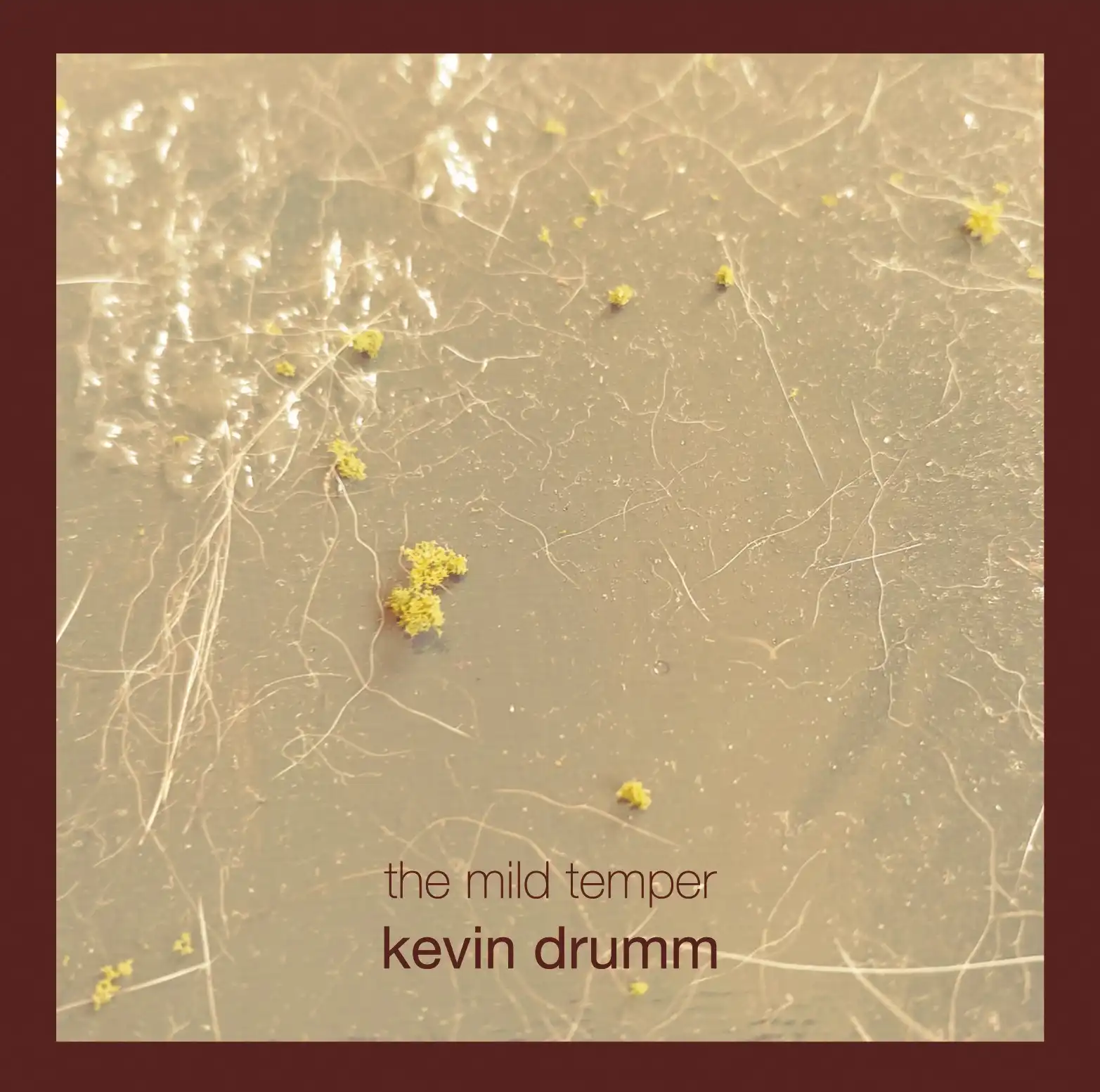KEVIN DRUMM / ケヴィン・ドラム / THE MILD TEMPER [6CD BOX]