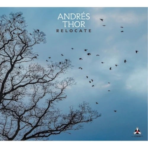 ANDRES THOR / アンドレス・ソール / RELOCATE (LP)
