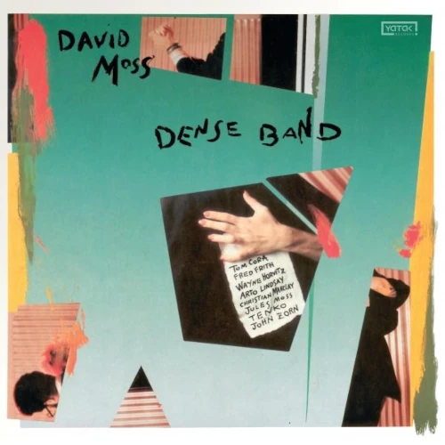 DAVID MOSS / デヴィッド・モス / DENSE BAND
