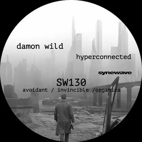 DAMON WILD / デイモン・ワイルド / HYPERCONNECTED (FEAT D KNOX MIX)