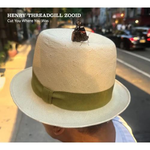 HENRY THREADGILL / ヘンリー・スレッギル / CUT YOU WHERE YOU WAS (LP)