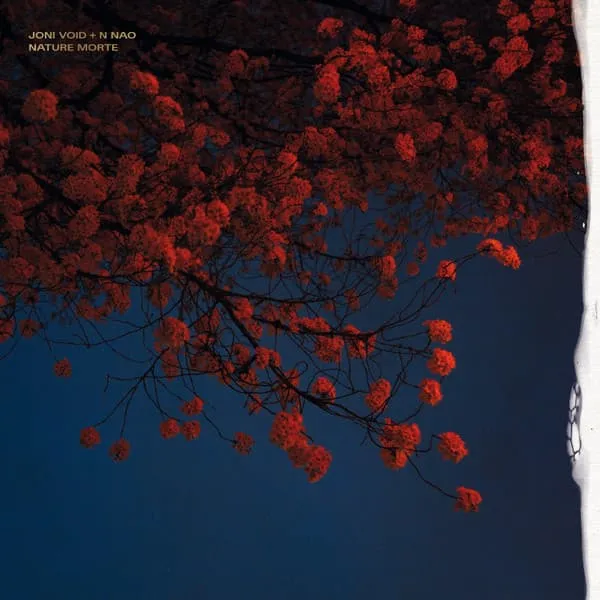 Joni Void + N NAO / NATURE MORTE