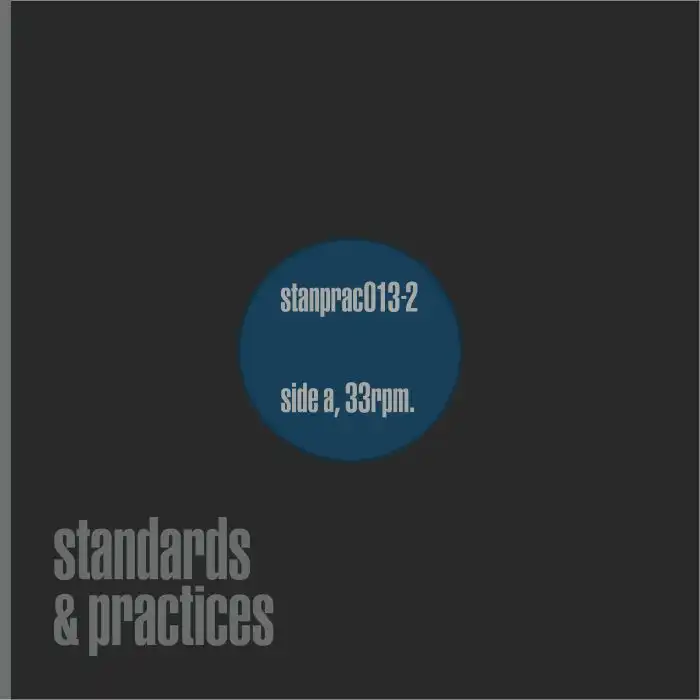 V.A. (STANDARDS & PRACTICES) / OUT OF PRACTICE VOL 2 (PART 2) (12") IZZY VINES / BRENDON MOELLER